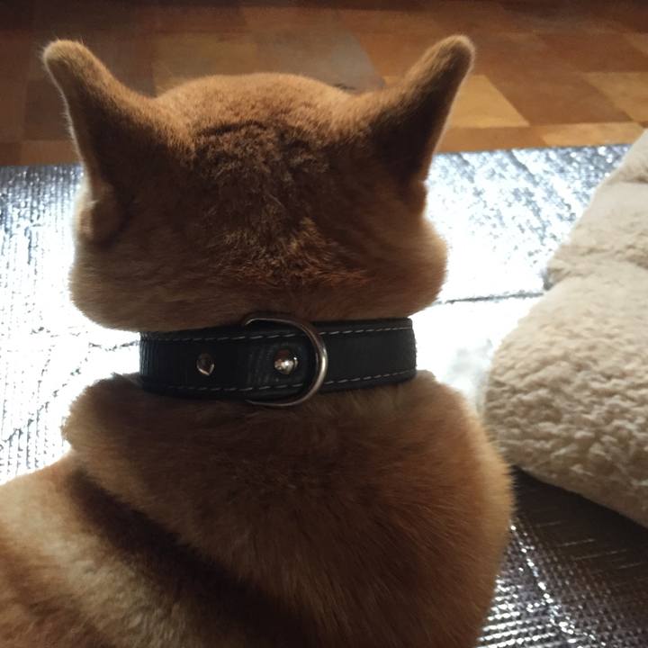 63d3988e 2819 4899 b2b5 f2c611fe60b7