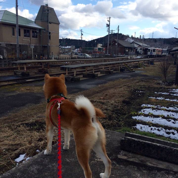 63d3dd98 ee9d 4b0b 9958 a21e35b510e7