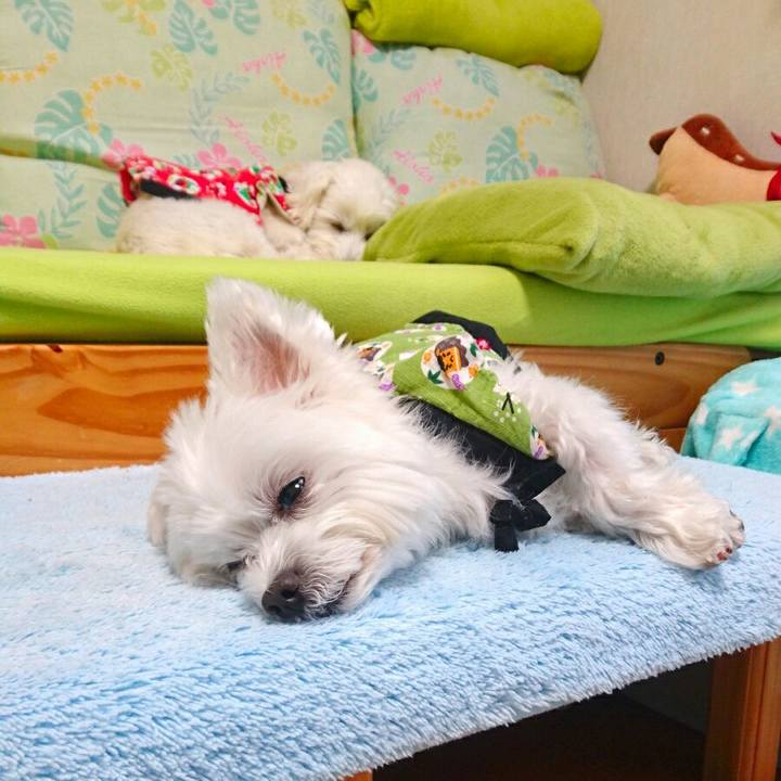 63d40fe2 c9a7 453a 902a e1d4fa643683