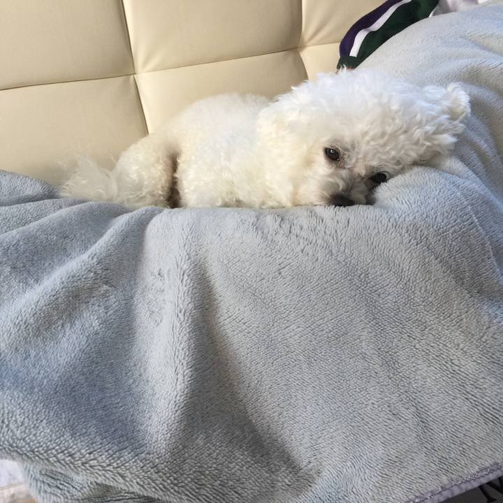 63d411a8 1bdf 4463 935b 667bc208b15b