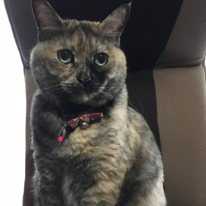 63d41dec fa03 407a 97b7 0394d8d1dc26