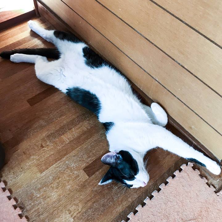 63d4452e d310 4f92 97fc 36fc8d7b1446