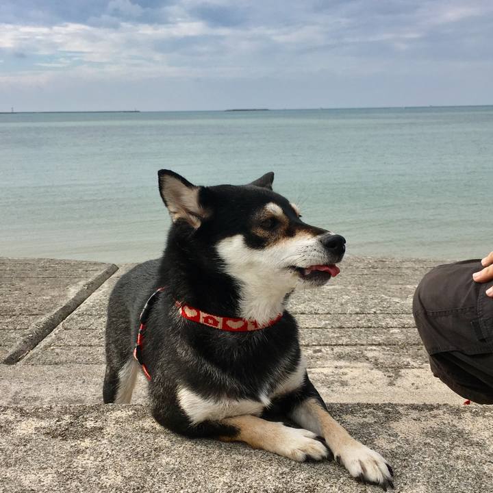 63d47feb 03ea 498b b1c6 ae76c0dd7886