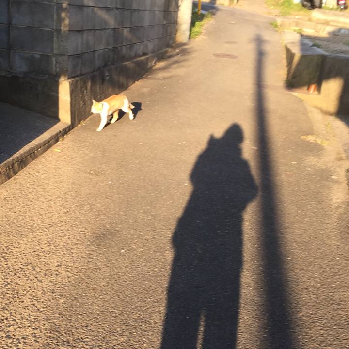 63d4d658 e83d 49fb bd59 b211f636901d