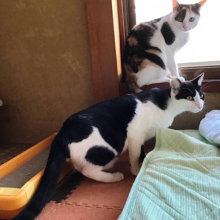 63d58844 a53a 4449 ad04 612f6236a392