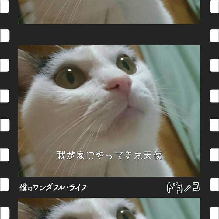 63d5cd64 f007 4fbf ab6d 841e92c1316c