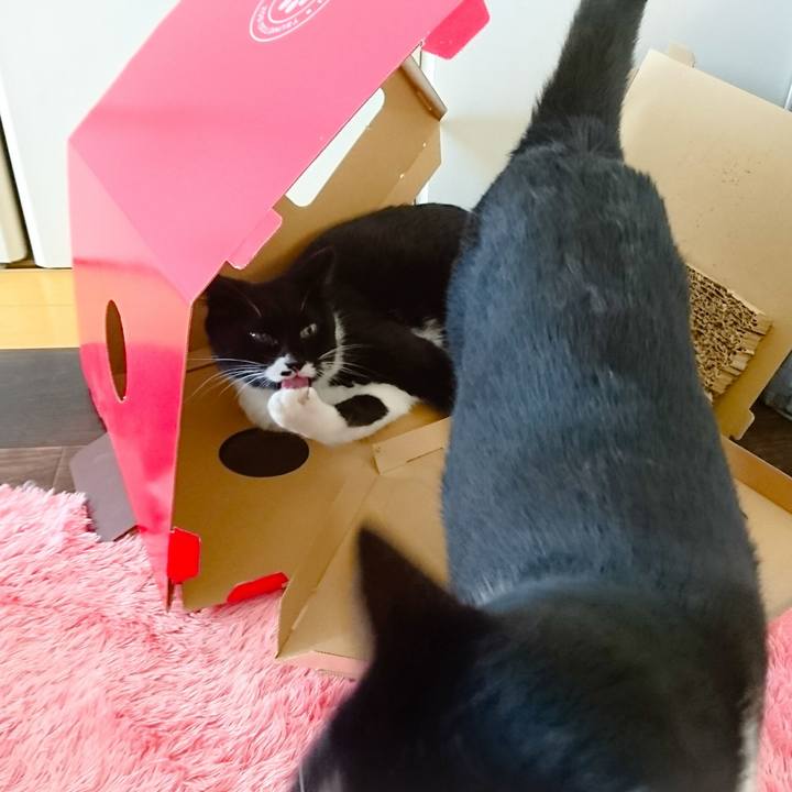 63d5e7e8 8fae 4078 a15f db39f8bdd7ea