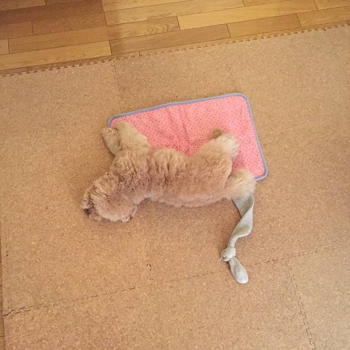 63d5eee0 7f62 4d9f 8c08 9903bccd89d0