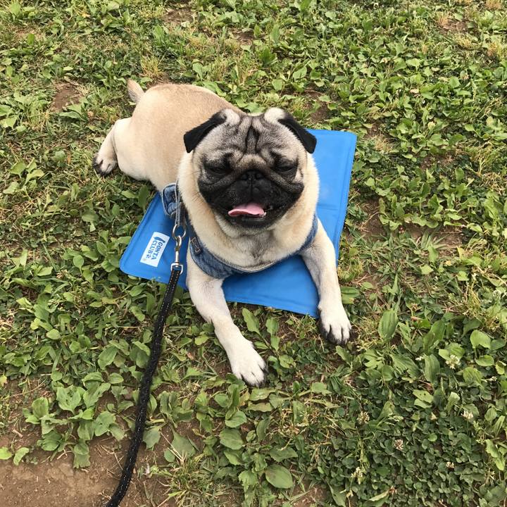 63d5fc2c 619a 45a2 8b3b 3967cb8115af