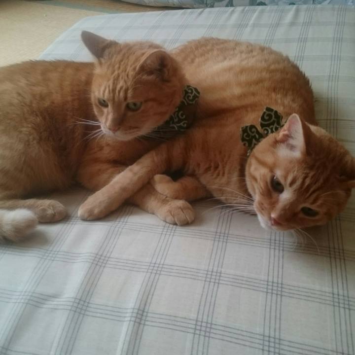 63d60948 9780 4415 85a9 695d55427246