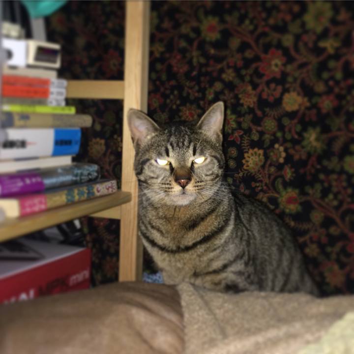 63d70a27 e49a 45d7 8a0e b205baba1288