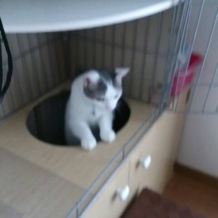 63d77941 2cc6 465d a750 d4a754820eb9