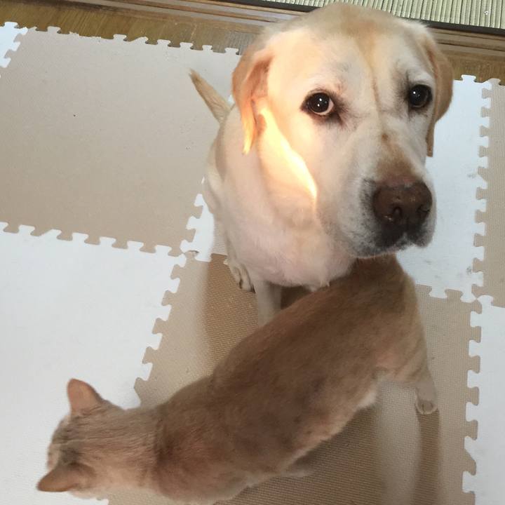 63d89729 2ae0 4394 96c3 2a822d400cb4