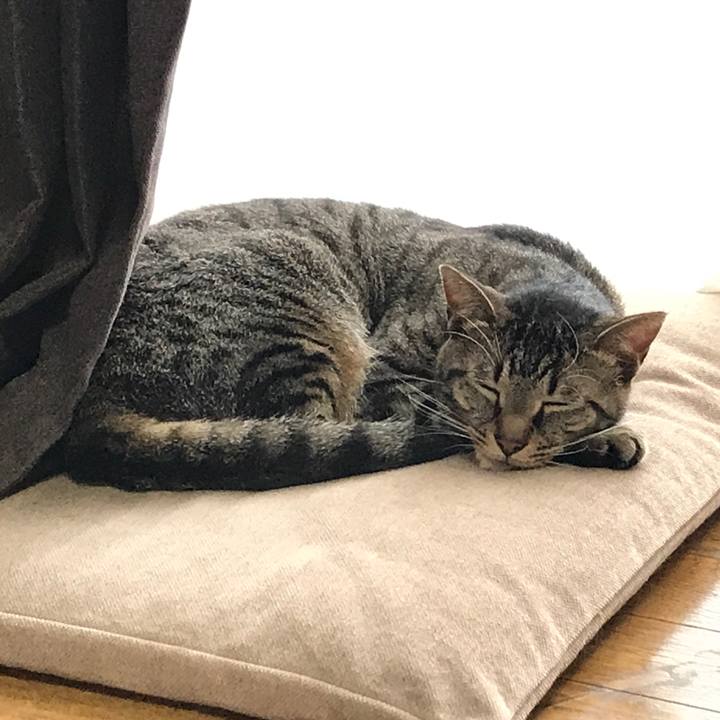 63d91dbf 80e0 4ada 8cbb 9cb749902230