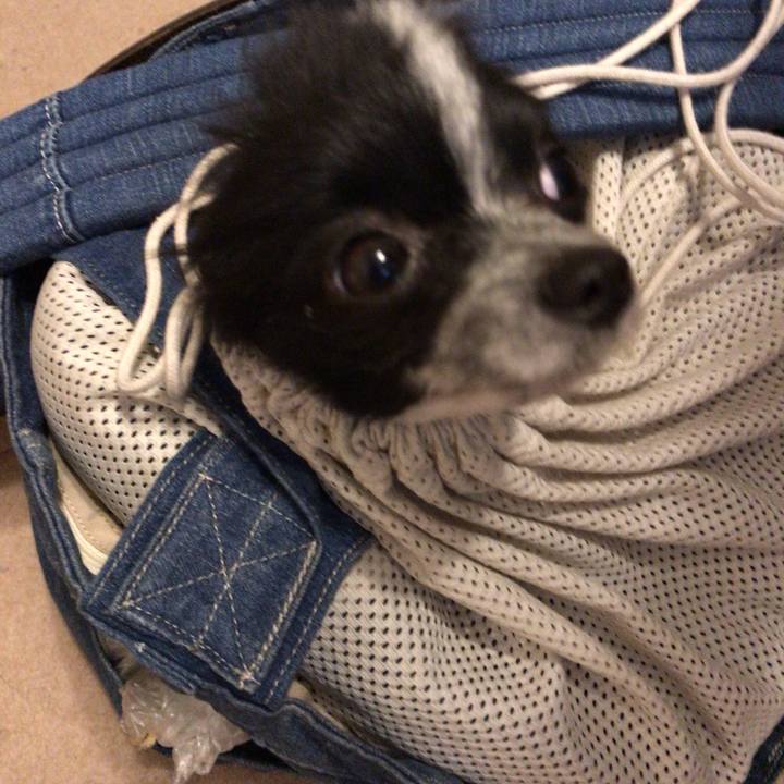 63d92bb4 5254 489a 844d 3e127b1ce9f7