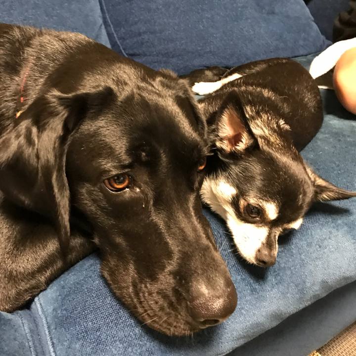 63d99fc4 6253 4c72 a9de 22536b17ce62