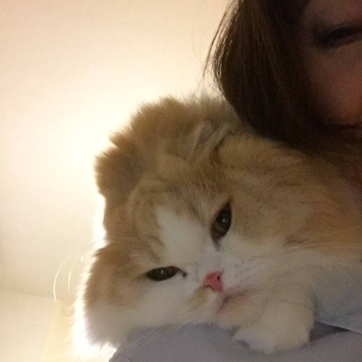 63d9a3c4 de2f 4b8b 8064 58a4ff4aaa99