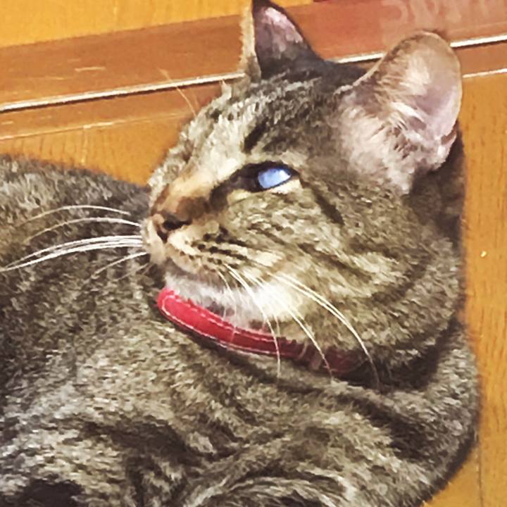 63da1299 4bd1 4054 93c8 64ae5507ec9c