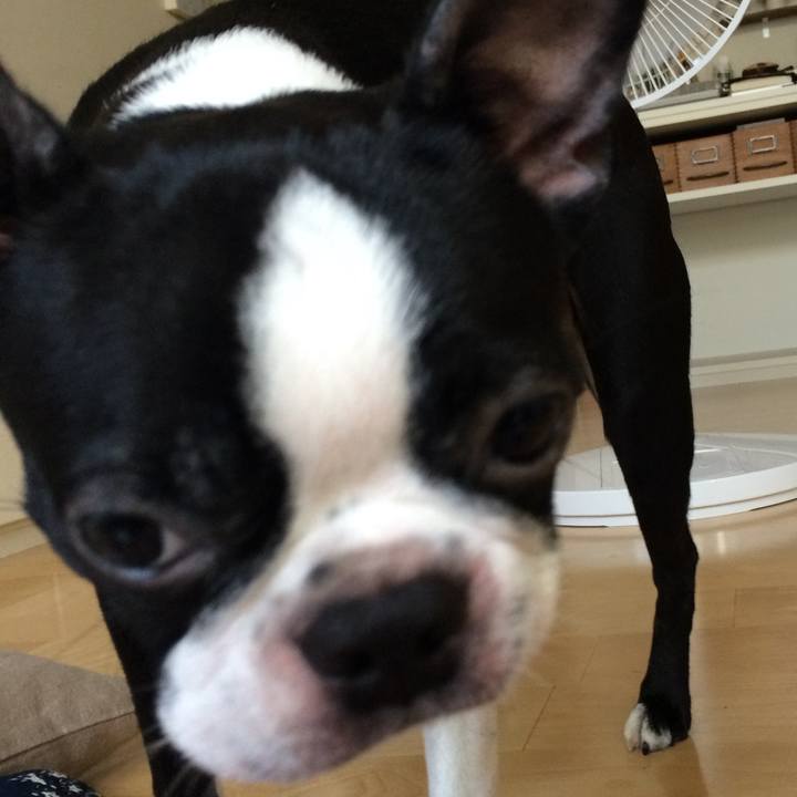 63da9ad6 fac9 44dd 8a88 34b84610785a