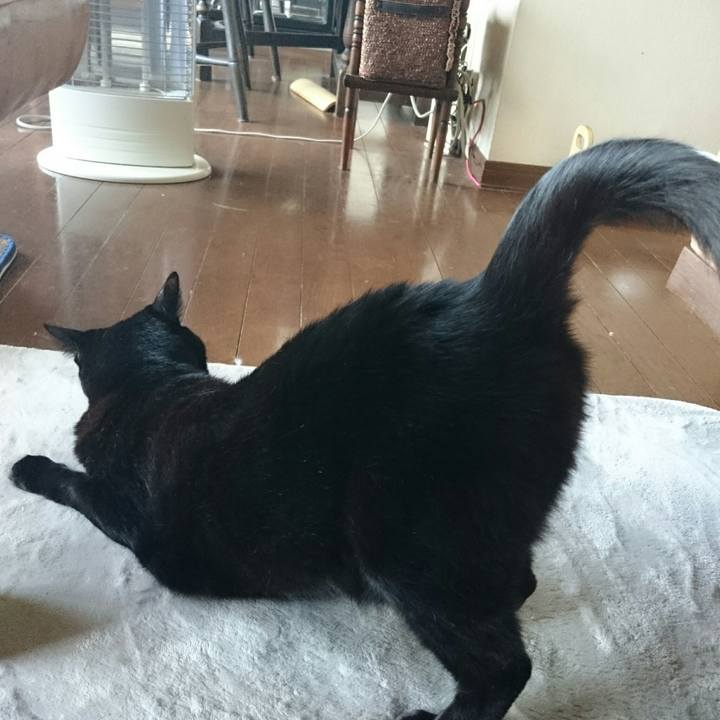 63dce6c2 4ff4 4cb8 a2ee f0b9cbcae84e