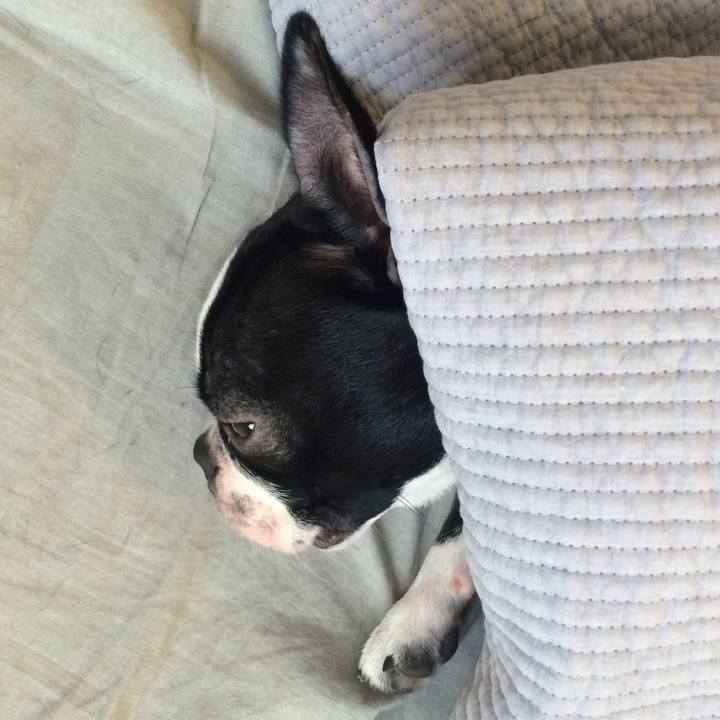 63dcfe91 e7e5 4b60 87e1 c5d606165d51