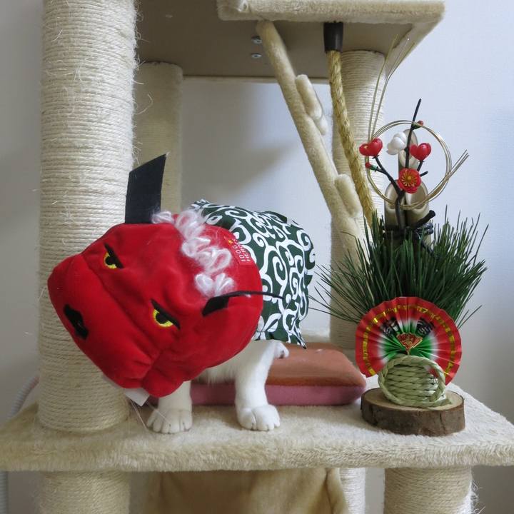 63dd14df 0832 41bc 939e c950474044a1