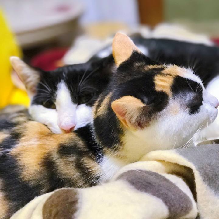 63dd7a25 bf02 4564 8e51 3131b255341c