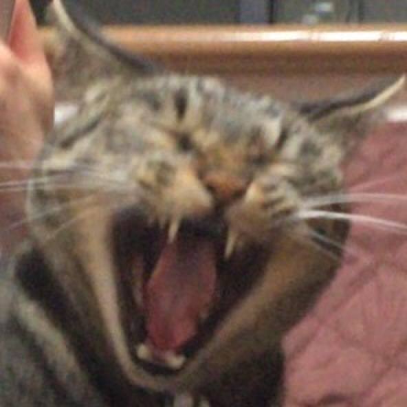 63dd830d 9caf 406b bc5c 5897ff118f12