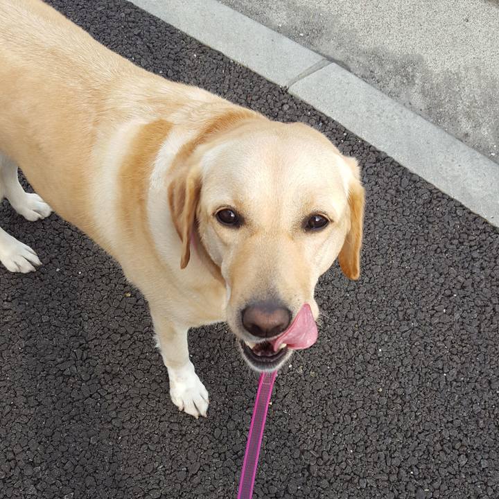 63dd834e e415 4bb8 ae5f fe5994e08216