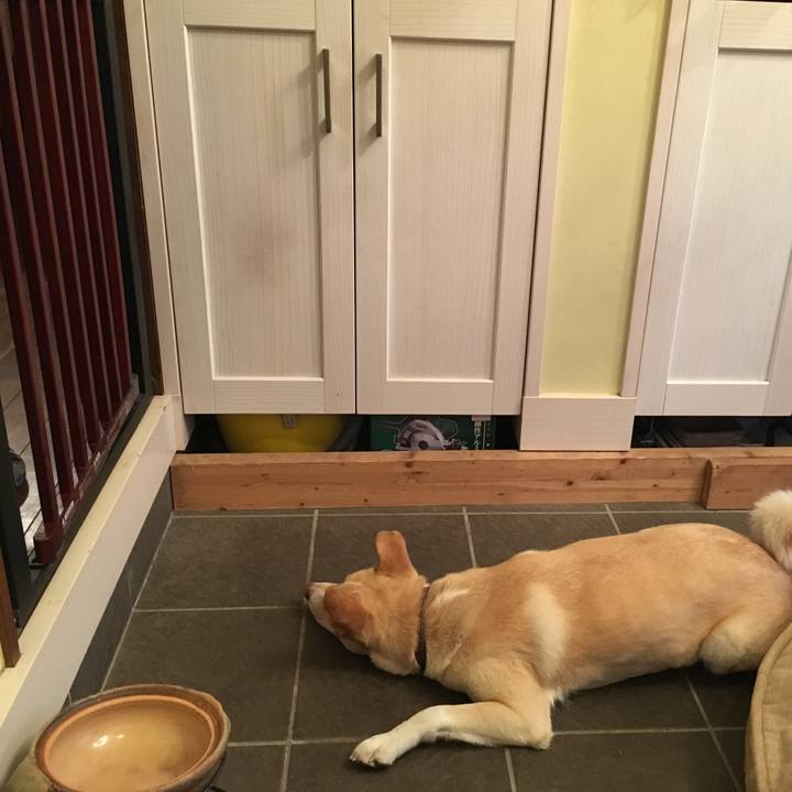 63ddc7f4 5e61 4a78 a502 d11448ef3dd2