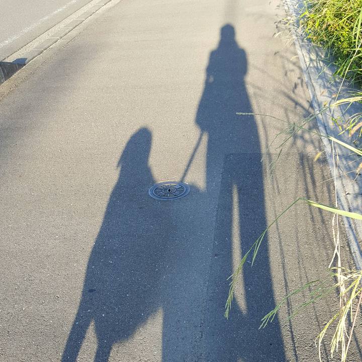 63ddd693 242b 49f9 8e79 326d1601432b