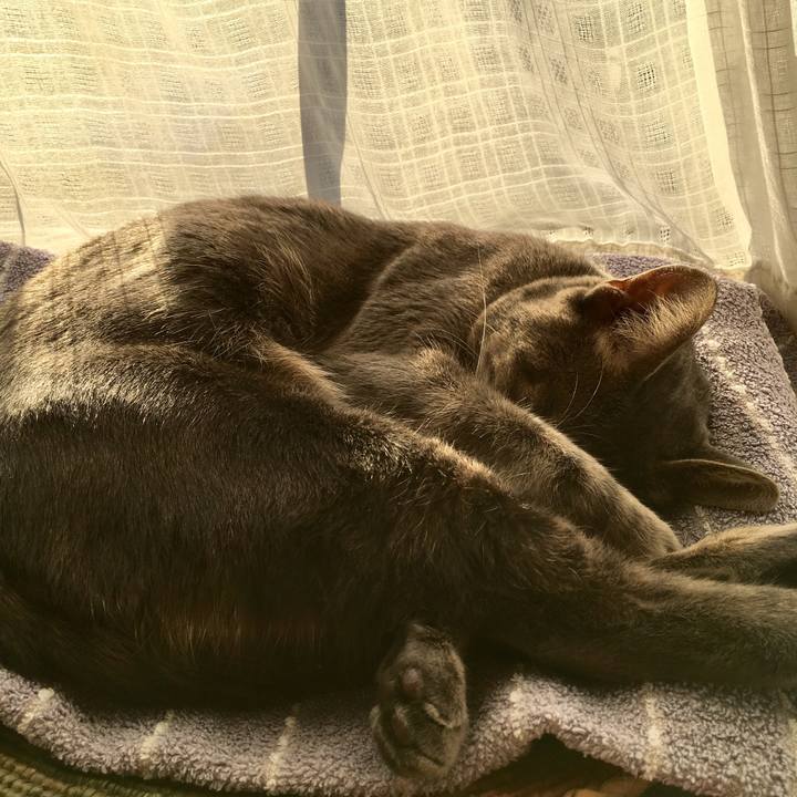 63de01c1 14d8 4623 8060 ad958344a335