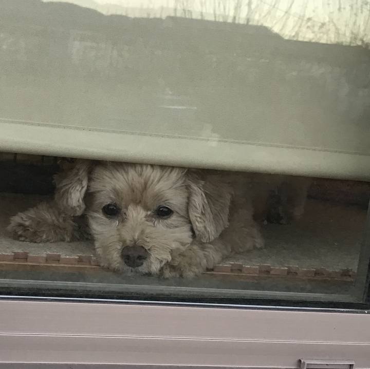 63de3f62 74e6 4d11 a227 b3a6767f0509