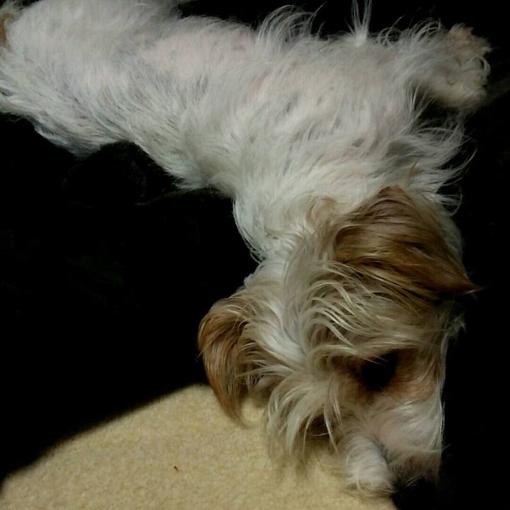 63de40f6 0f4b 40e5 887b 07d13ec76a9c