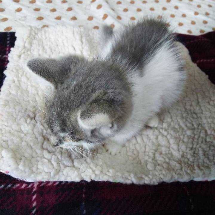 63de4f1b da50 4bd7 a93a d4a076fb7beb