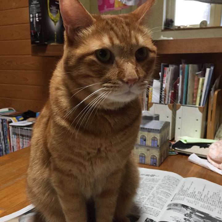 63de7b11 8f4e 4d1f a125 1a378af7805e