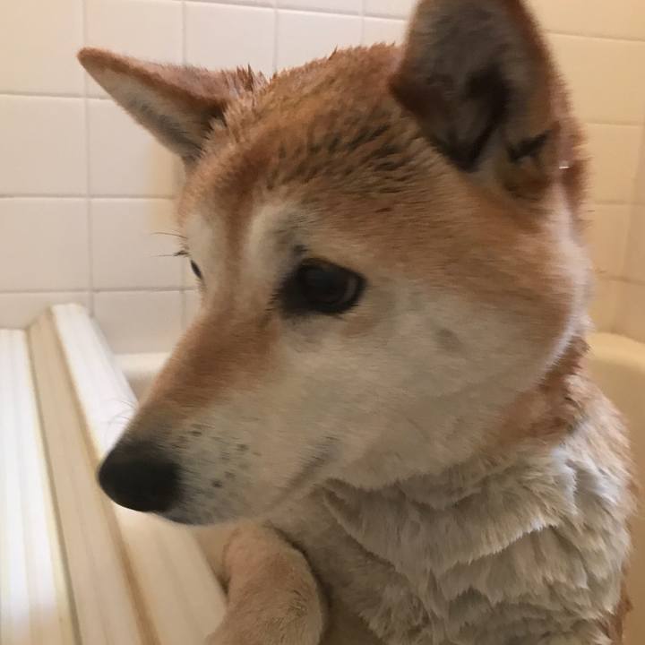 63df8089 1294 4437 ba50 1945ec5ad5eb