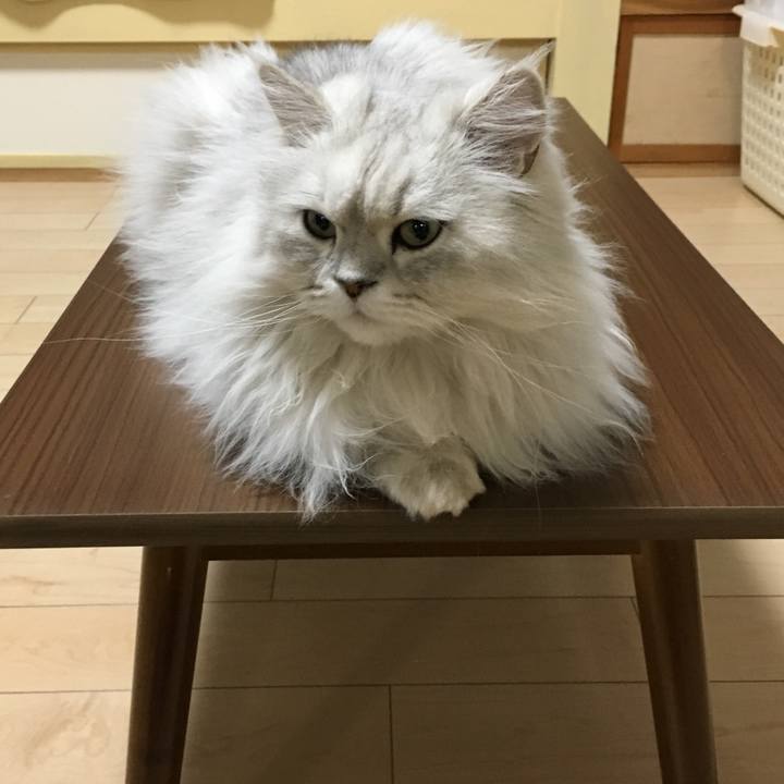 63dfdf9b aaa5 47ab 91bc 217f11b39de4