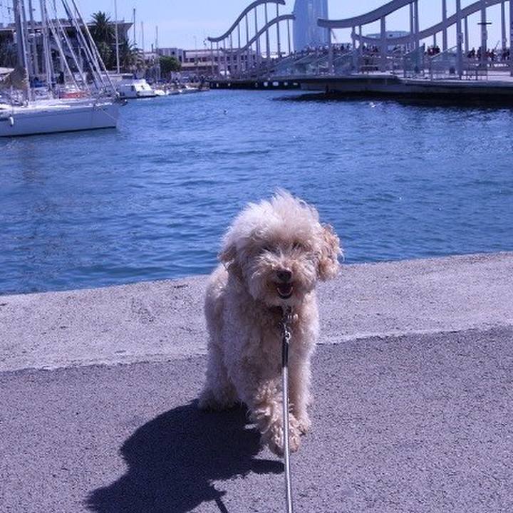 63e00dc2 d572 4ff4 994b e3463bfd727d