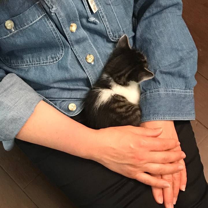 63e06cac 7d05 43e7 a3c8 812411212574