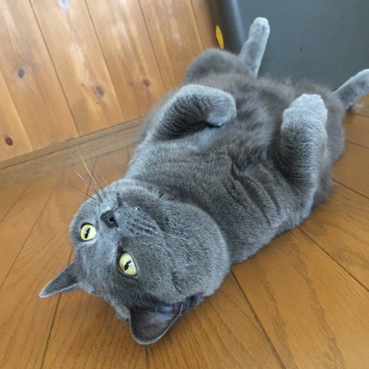 63e0cbc1 2070 4449 8a1f ffb3b3d6d52f