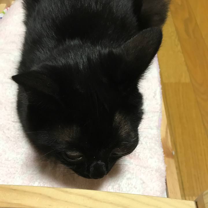 63e0e990 142f 4447 b144 374e112015de