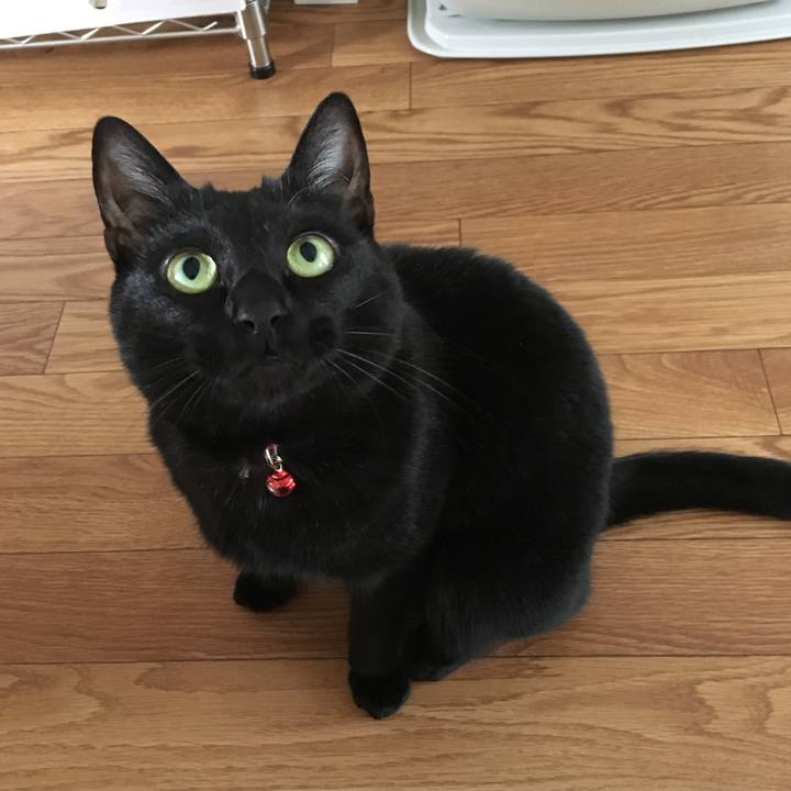 63e0fcd3 b077 4f12 a7db 8422f7f214c5