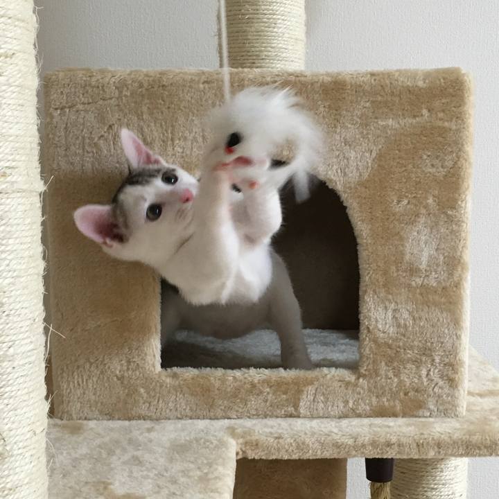 63e11a90 56ec 49e2 9381 246981e63061