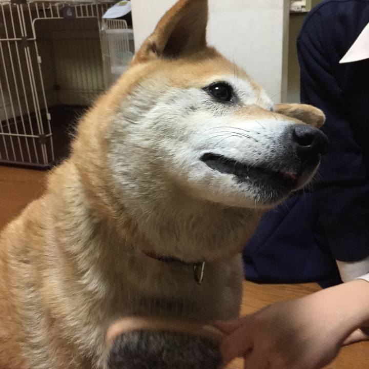 63e19a8d 5348 4ad2 b205 68300ce4b695