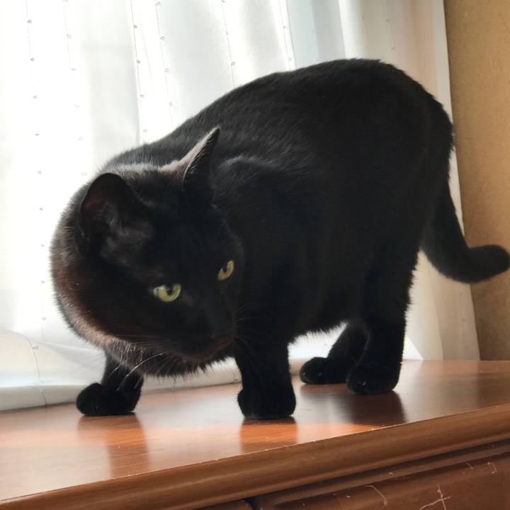 63e1a8d9 409c 4da4 9b34 927011f06cd0