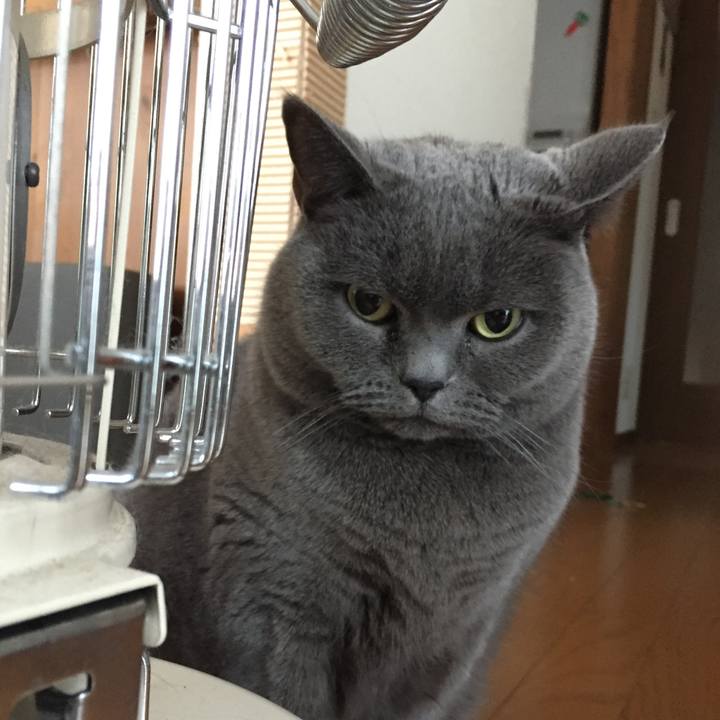 63e1e24a 571d 43af b14d 24bebf169bf8