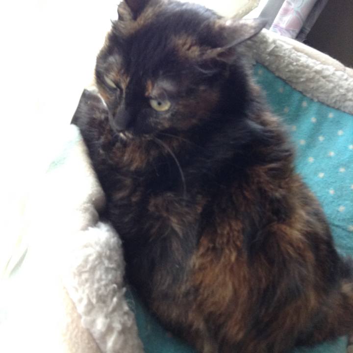 63e2dadb 8f01 4ba6 b83b 753b92b65ced