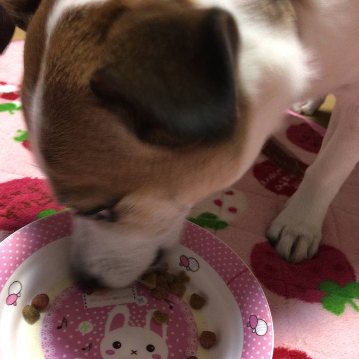 63e37985 12a0 49cd acaf 6a94d6ae9be8