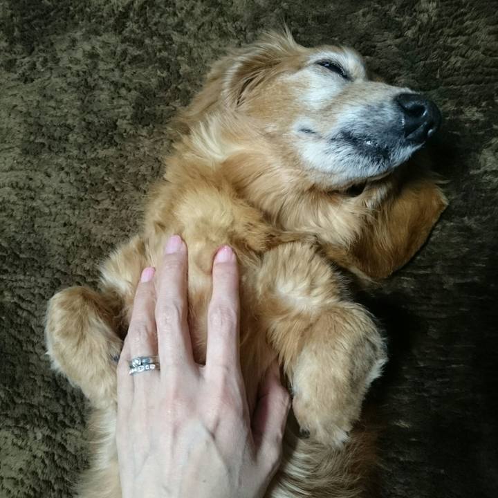 63e3967c 98ed 4ae6 8815 e1ad8808fe17